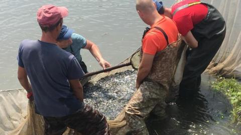 Рыбаки ловят рыбу сетью