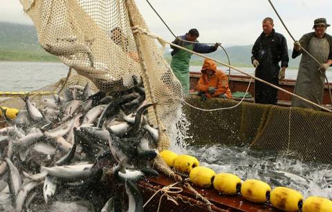 Эксперты назвали отрасли в России с самыми высокими зарплатами Рыболовство