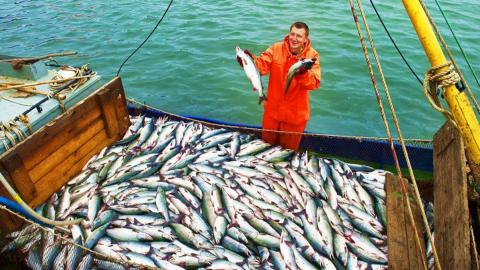 Рыболовецкое судно с уловом Выловленная рыба