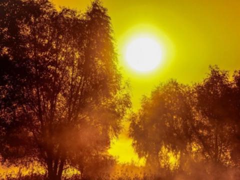 Аномальная жара в России