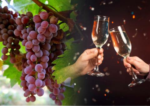 Шампанское в бокалах