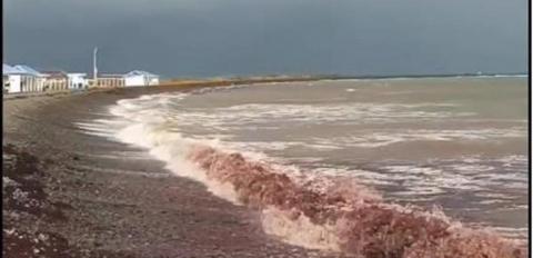 Скрин, пляж, красная вода