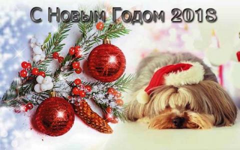 С годом Собаки