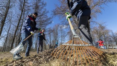 Городской субботник Городской субботник