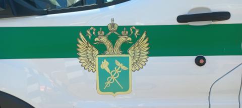 Федеральная таможенная служба