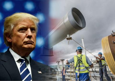 Трамп Трамп