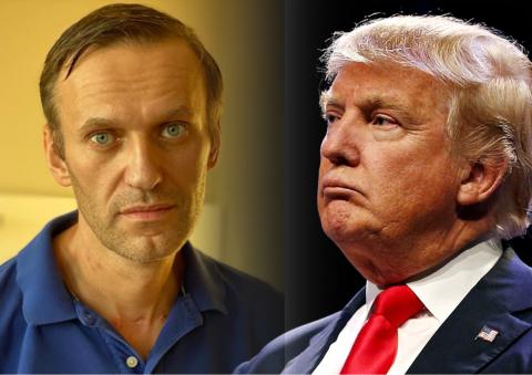 Навальный обиделся на Трампа