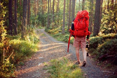 Человек с рюкзаком в лесу