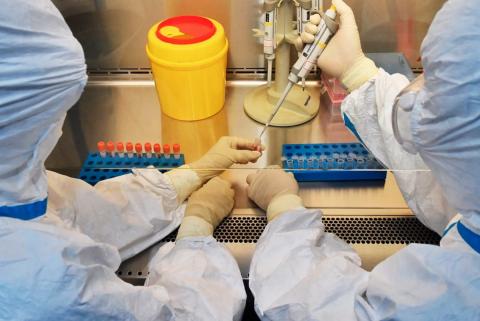 Исследования коронавируса