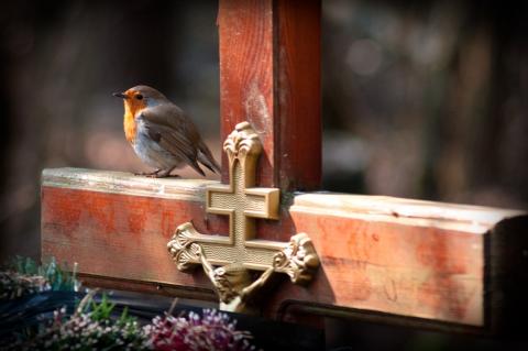 Троица: можно или нельзя ходить на кладбище в этот день