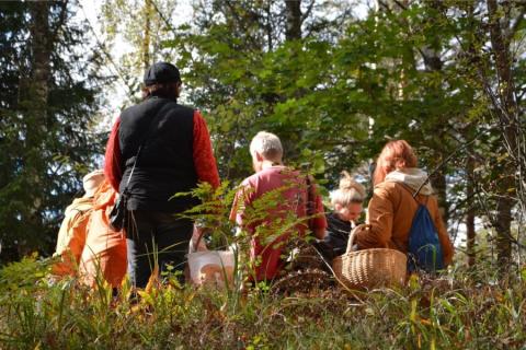 В России могут запретить сбор лесных ягод и грибов, но не для всех В России могут запретить сбор лесных ягод и грибов, но не для всех