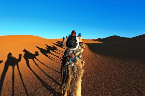 В крупнейшей жаркой пустыне выпал снег: появились видеосюжет и фото В крупнейшей жаркой пустыне выпал снег: появились видеосюжет и фото