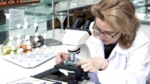 «Шанс есть, но время на исходе»: учёные предрекли человечеству скорую неизлечимую эпидемию