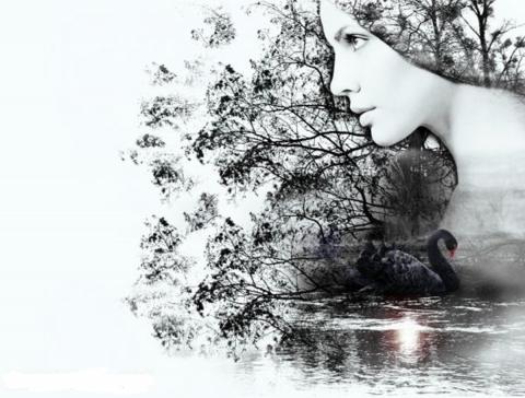 Тест на характер Психологический тест по картинке: то, что вы первым увидели, раскроет, в чем вы нуждаетесь