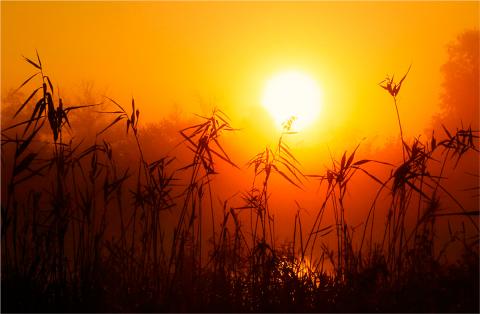 Погода в Ростове-на-Дону: аномальный зной и температурный рекорд