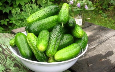 Огурцы можно сохранить в свежем виде на всю зиму: простые способы, не требующие специальных средств 