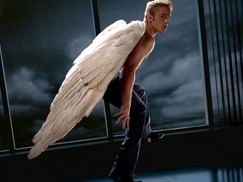 Люди-ангелы: посланники небес, кто они по знаку зодиака и как их распознать – рассказали астрологи 