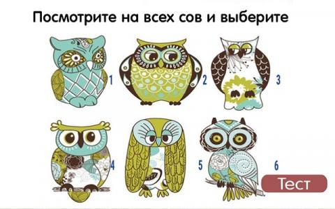 Быстрый тест на характер - выбери сову и узнай все плюсы и минусы своего характера