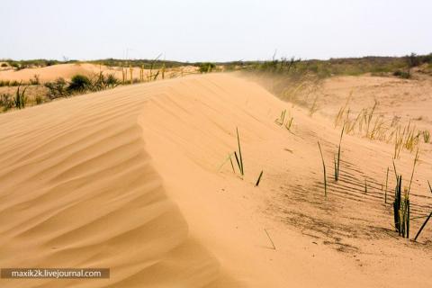Пески поглощают Астраханскую область – СМИ