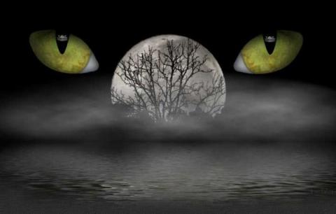 Полнолуние 28 июня 2018: судьбоносный день, чего следует опасаться, что можно и нельзя делать в это полнолуние