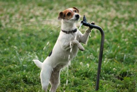 Погода в Волгограде: в ближайшее время вернутся жара