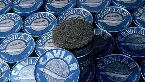 Черная икра