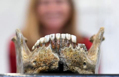 В Израиле найдены древние останки, которые могут изменить историю человечества