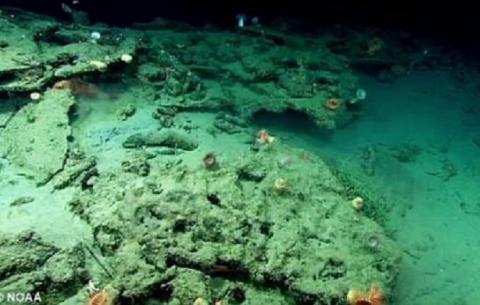 Археологический объект или база пришельцев: на дне Атлантики выявлена загадочная аномалия  