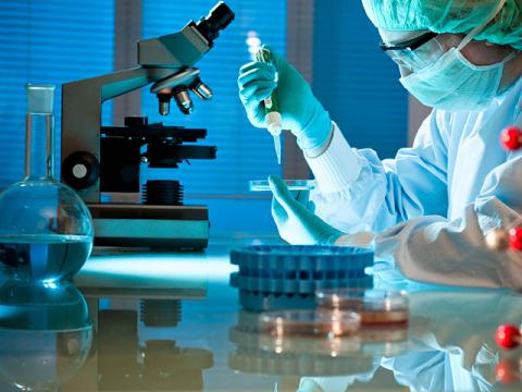 Лаборатория Лаборатория