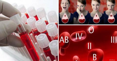 «Золотая» группа крови: назван самый редкий и ценный тип крови в мире