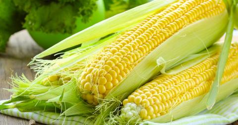 Кукуруза кукуруза