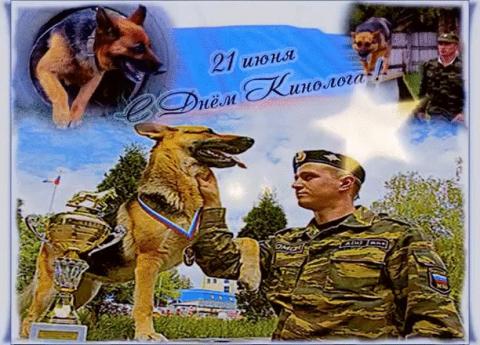 Картинки с Днем кинолога 2018 Картинки с Днем кинолога 2018: открытки, гифки, изображения, поздравления