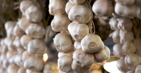 Как правильно хранить чеснок зимой в домашних условиях: простой и эффективный способ хранения чеснока