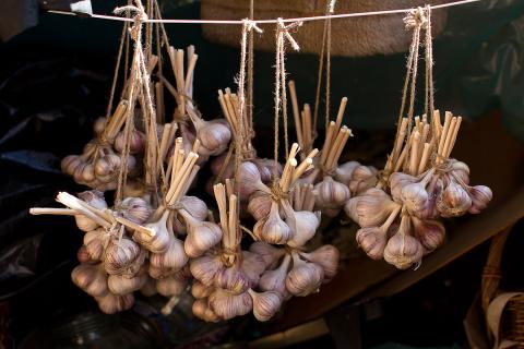 Как хранить чеснок зимой: три необычных способа хранения чеснока в зиму