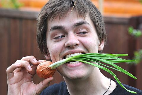 Как репчатый лук влияет на IQ, выяснили зарубежные исследователи