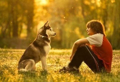 На пороге бессмертия: секретные эксперименты ученых из Гарварда продлят жизнь собакам, а затем и людям 