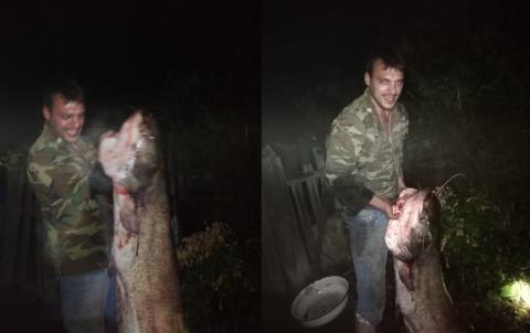 Последние новости сегодня. В Астрахани рыбак поймал гигантского сома на кузнечика