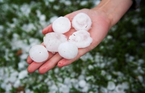 В нескольких районах Кубани введен режим ЧС из-за июньского града