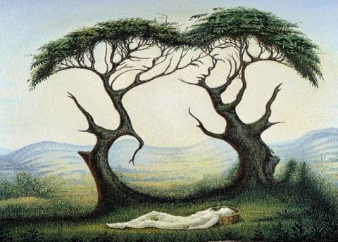 Тест на характер: то, что вы увидели первым раскроет секрет вашей личности