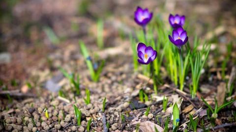 Длинные выходные в апреле 2018: даты нерабочих дней – сколько дней будем отдыхать в апреле Длинные выходные в апреле 2018: даты нерабочих дней – сколько дней будем отдыхать в апреле