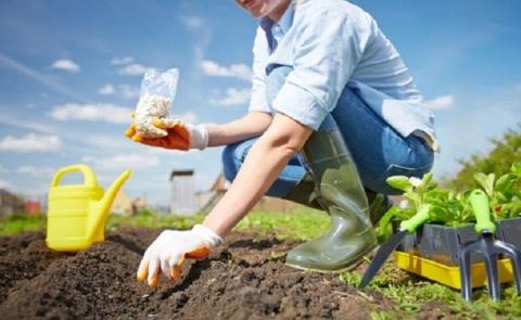 Лунный посевной календарь на вторую половину мая 2019 года для садоводов и огородников: лучшие дни для посева различных культур