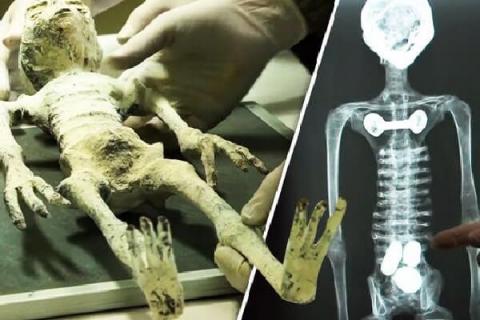  В Перу найдены инопланетяне: последние тесты указывают на нечеловеческую ДНК