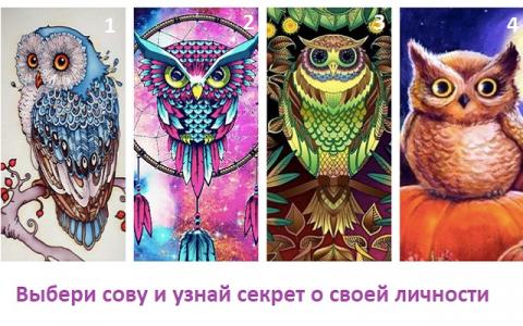 Быстрый тест на характер: выбери сову и узнай, какие секреты скрывает твоя личность