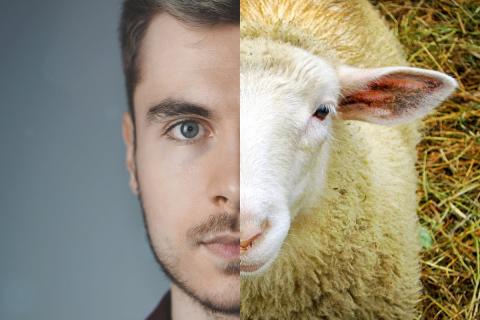 человек и животное человек и животное скрещивание