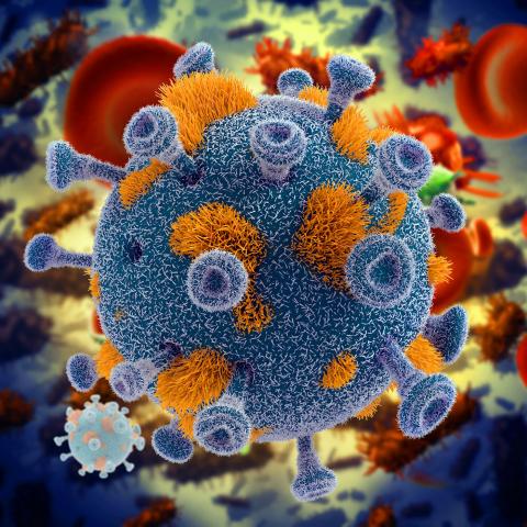 Вирус под микроскопом