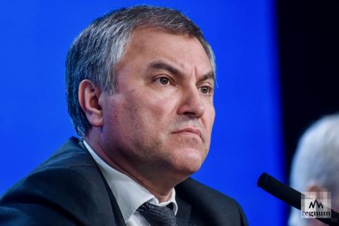 Спикер Госдумы Вячеслав Володин предложил оштрафовать на 100 миллионов рублей блогера и телеведущую Алену Водонаеву