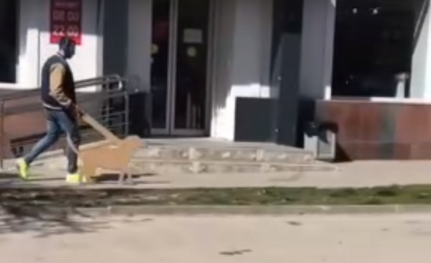 Смекалочка выручает: ростовчанин решил выгулять картонную собаку Выгул картонной собаки в Ростове-на-Дону