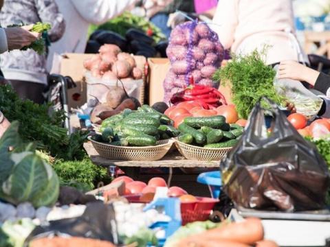 Ярмарка, продукция дачников