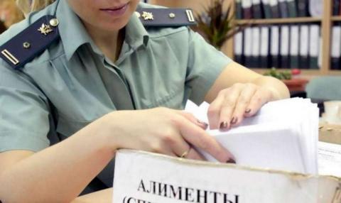 Должники по алиментам