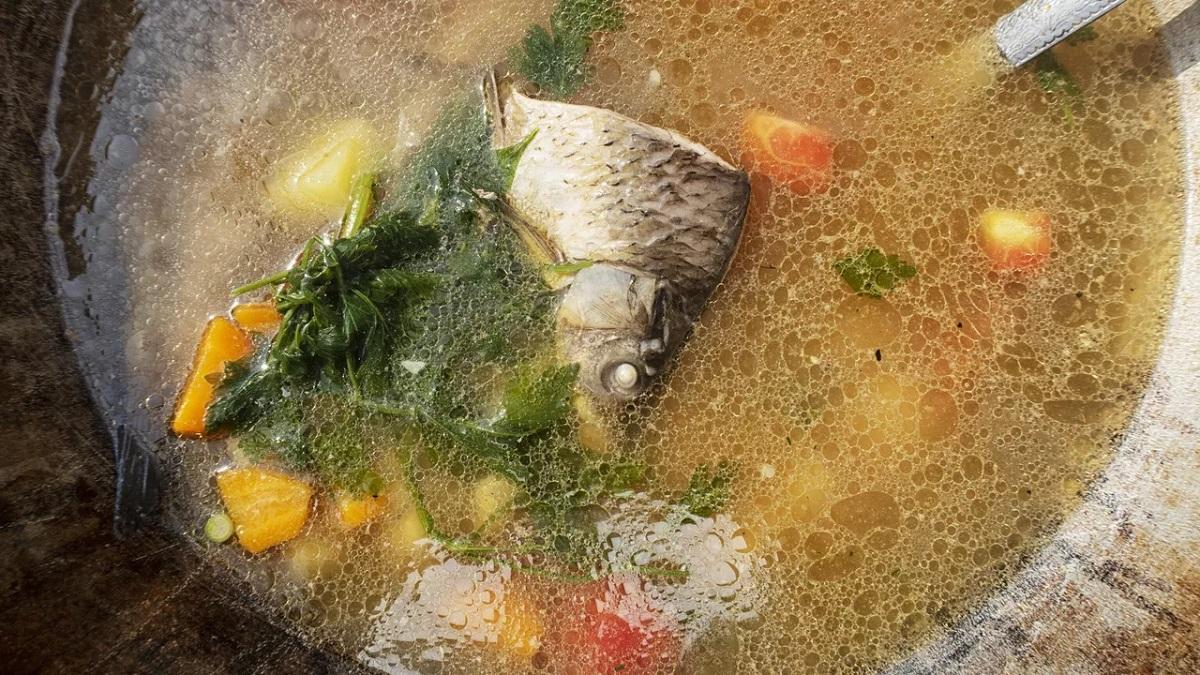 Диетолог Кованова: Полезны супы на овощном или некрепком мясном бульоне Рыбный суп